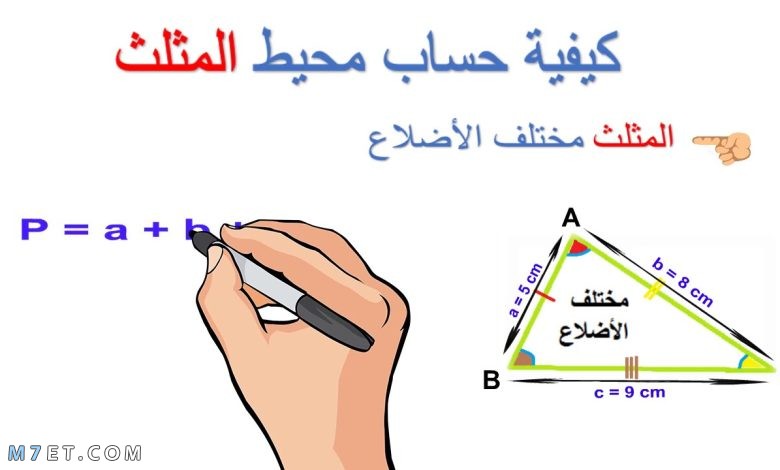 محيط المثلث