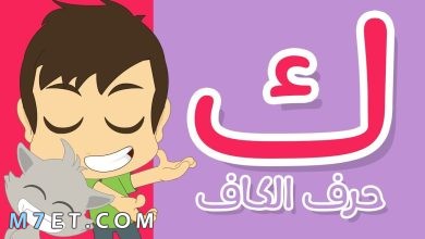 Photo of نبات بحرف ك | نباتات تبدأ بحرف الكاف وفوائدها