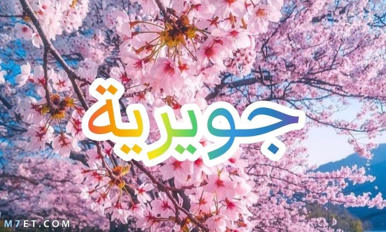 معنى اسم جويرية