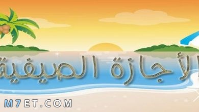 Photo of موضوع تعبير عن الإجازة الصيفية بالعناصر والأفكار