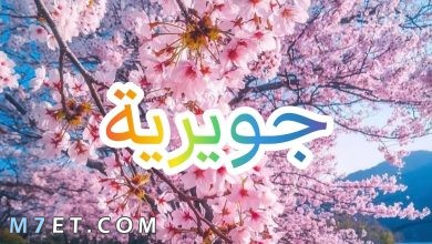 Photo of معنى اسم جويريه في القرآن الكريم