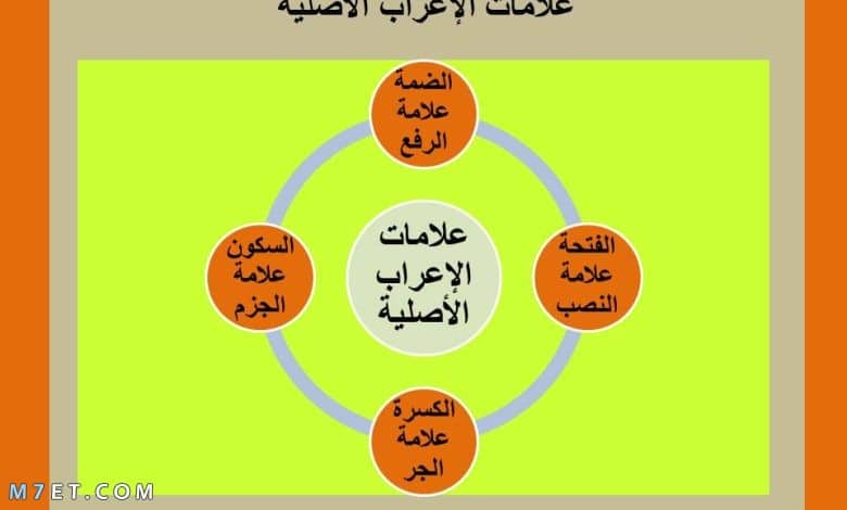 العلامات الاصلية والفرعية