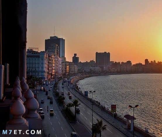 رقم بريد اسكندرية