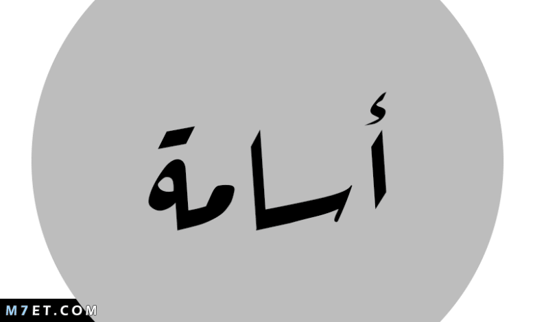 معني اسم اسامة