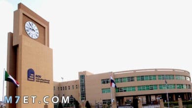 Photo of التقديم فى الجامعة المفتوحة