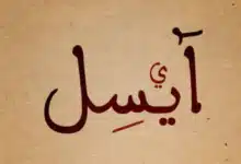 Photo of معنى اسم أيسل في اللغة العربية