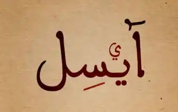 معنى اسم أيسل 